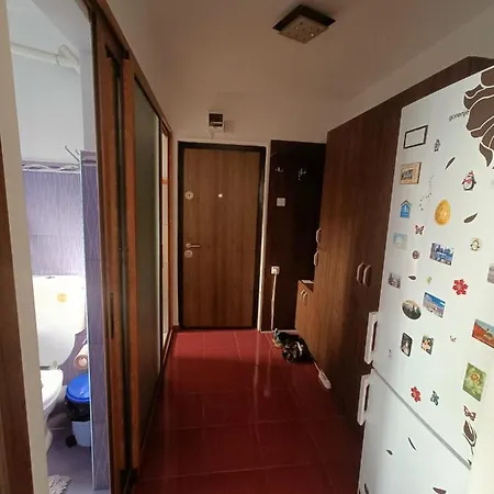 アパート Apartament Iva